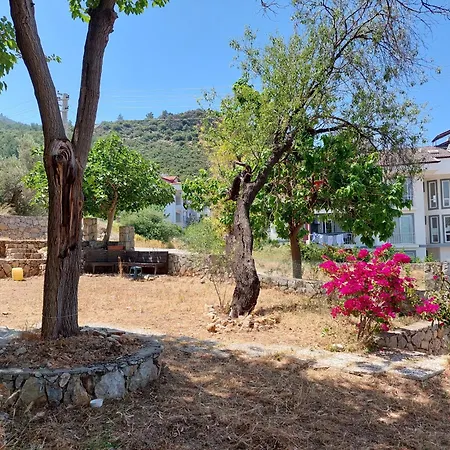 Highland * Fethiye
