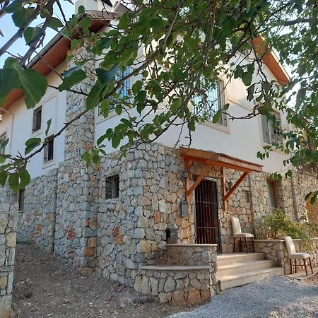 Highland * Fethiye